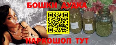 гидра Шелехов