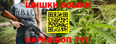 гидра Шелехов