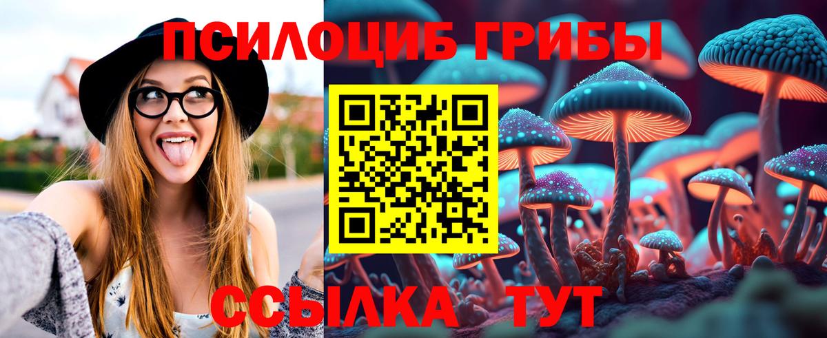 Галлюциногенные грибы Psilocybe Вышний Волочёк
