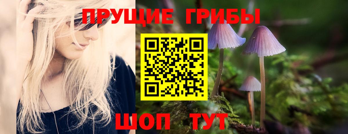 Галлюциногенные грибы мухоморы  Вход с VPN  Вышний Волочёк  Галлюциногенные грибы GOLDEN TEACHER 